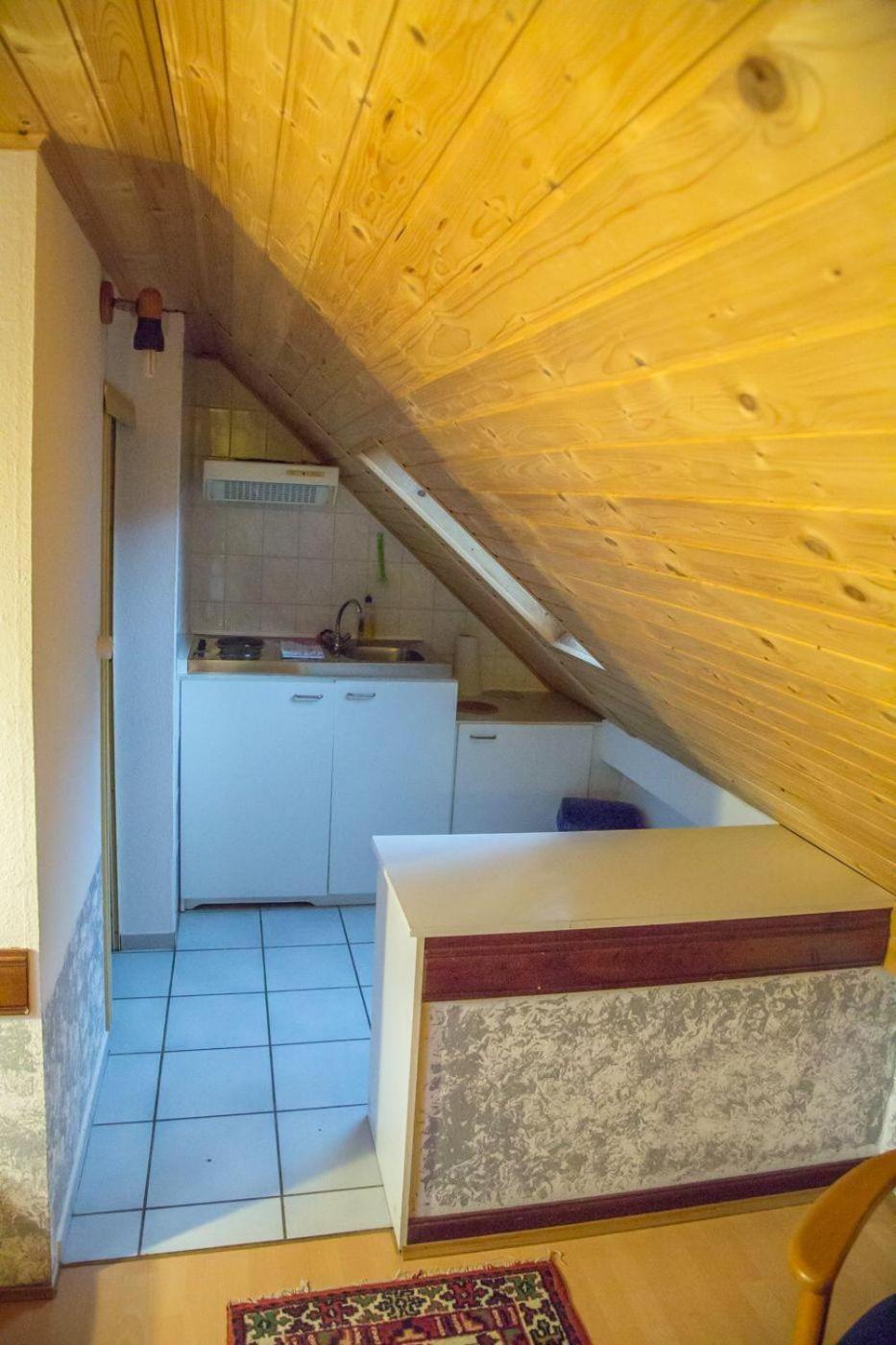 Ferienhaus-Der-Villa-Elsa ドレスデン エクステリア 写真